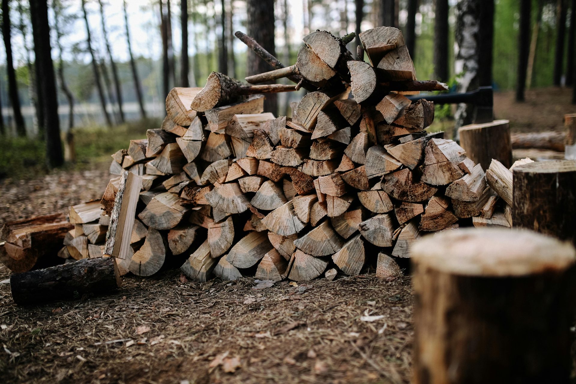 Ein Stapel ordentlich geschichtetes Brennholz in einer ruhigen Waldumgebung bei Tageslicht.